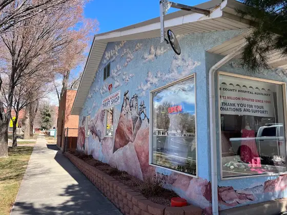 Kane County Hospital Auxiliary Thrift Store