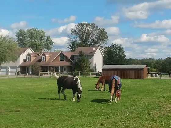 Last Chance Ranch