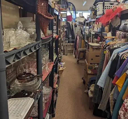 Lazy Dog Antiques