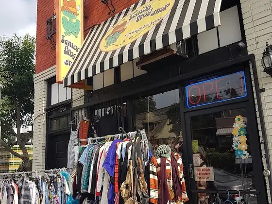 Lemon Frog Shop Vintage Bazaar