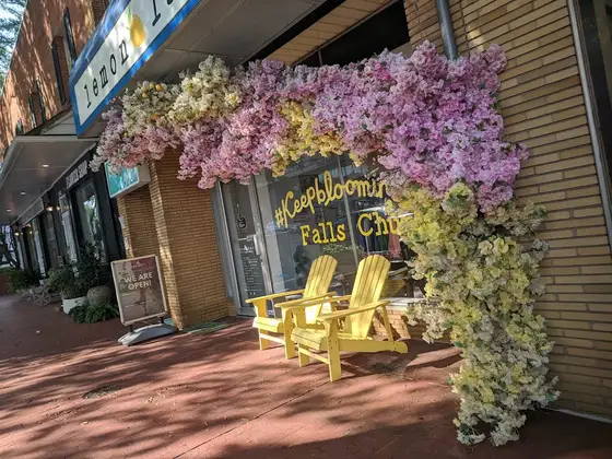 Lemon Lane Children's Consignment