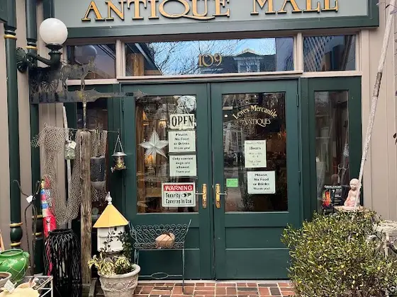 Lewes Mercantile Antiques