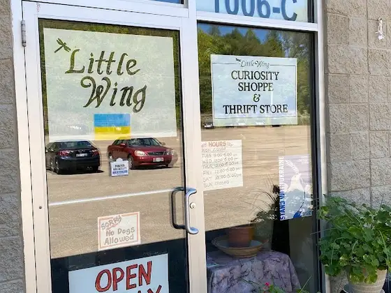 Little Wing Curiosity Shop and Thrift Store