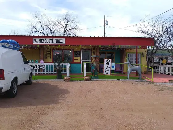 Lone Star Gallery