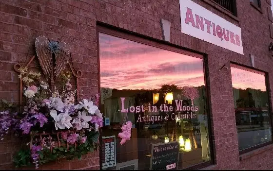 Lost in the woods Antiques