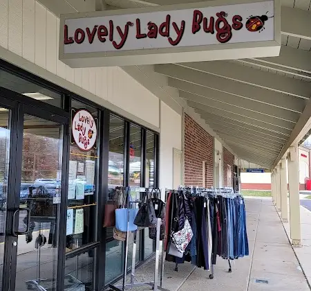 Lovely Lady Bugs