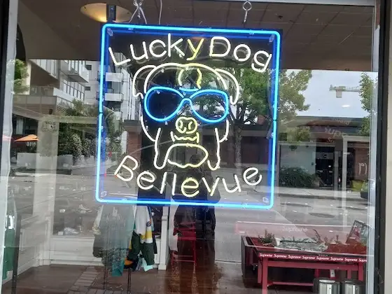 Lucky Dog - Bellevue