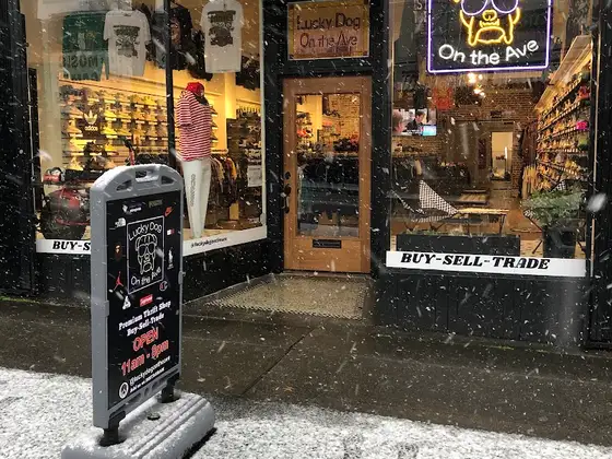 Lucky Dog On The Ave