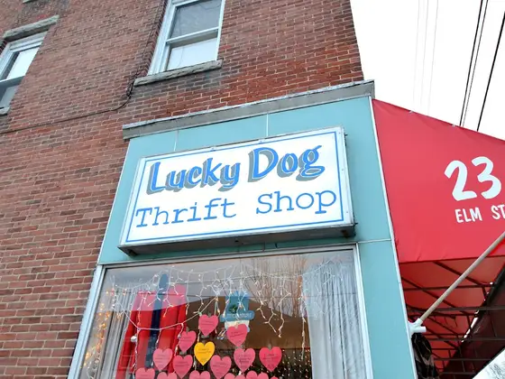 Lucky Dog Thrift Shop