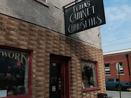 Lydia's Cabinet of Curiosities