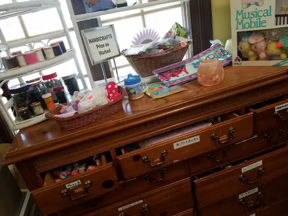Medical Mission Sisters Thrift Shop in Fox Chase, PA