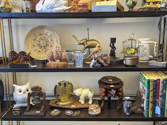 Midas Menagerie