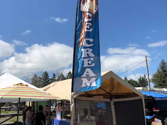 Midgley Flea Market in Sebastopol, CA