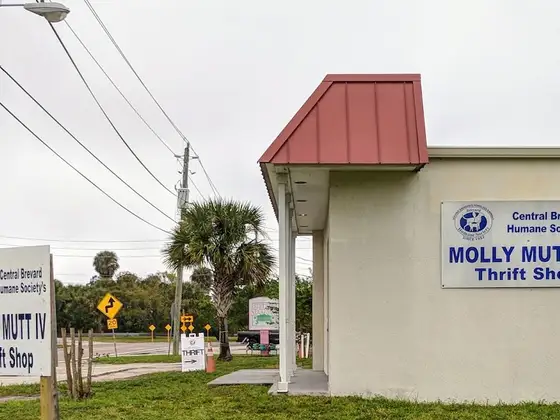 Molly Mutt IV