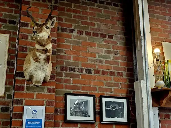 Montana Antique Mall