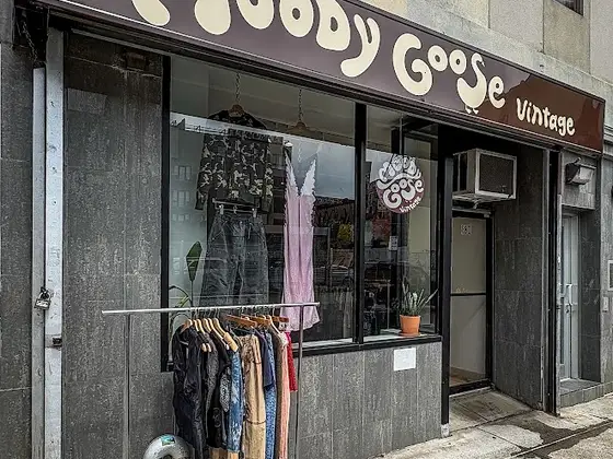 Moody Goose Vintage