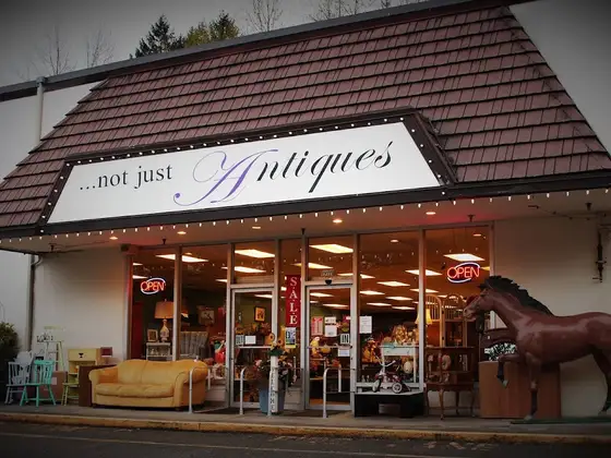 Not Just Antiques