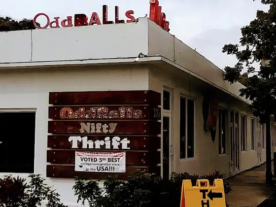 Oddballs Nifty Thrift