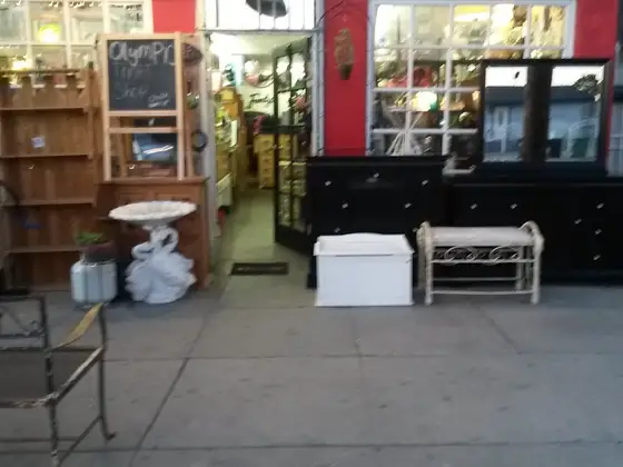 Olympic Thrift shop