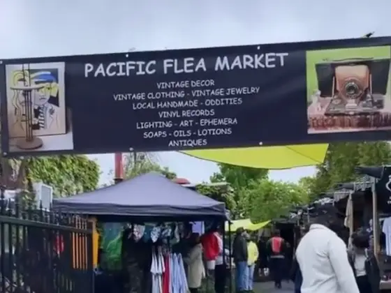 Pacific Flea