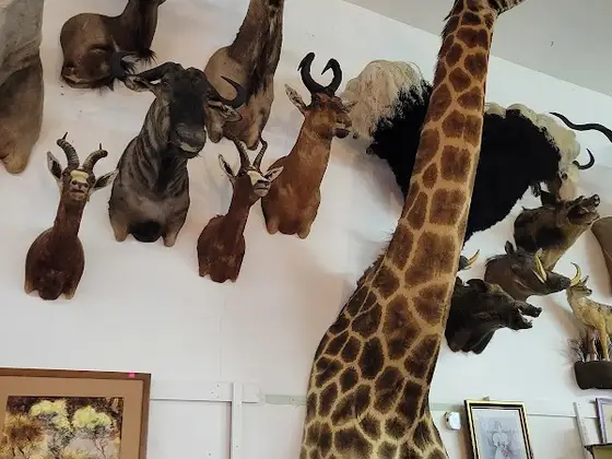 Pam's Flea Market