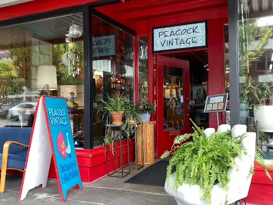 Peacock Vintage