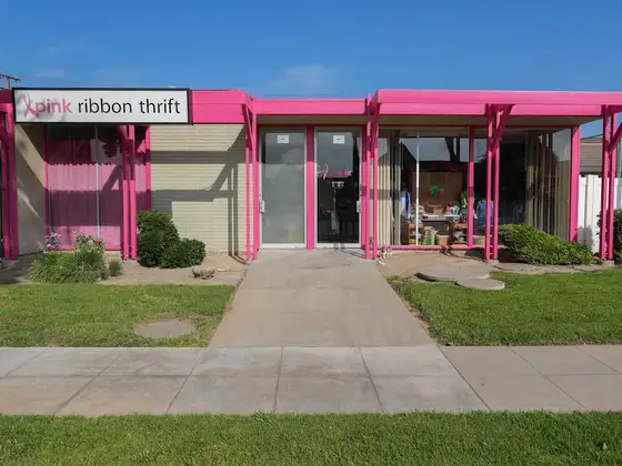 Pink Ribbon Thrift Shop