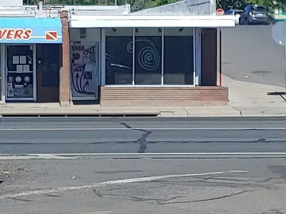 Rogue Antiques