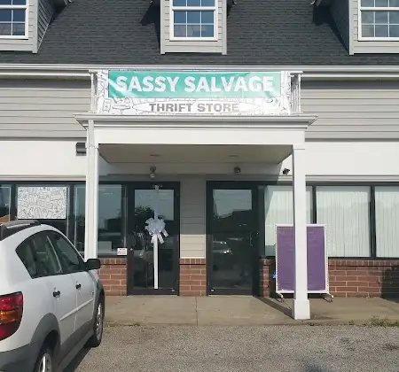 Sassy Salvage