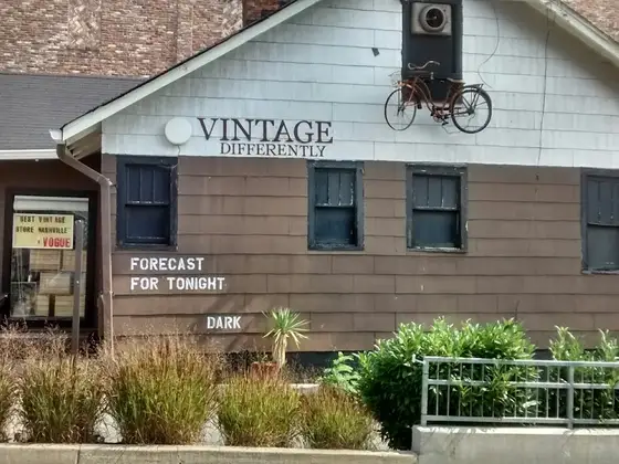 Savant Vintage