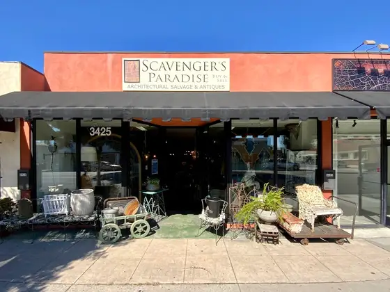 Scavenger's Paradise