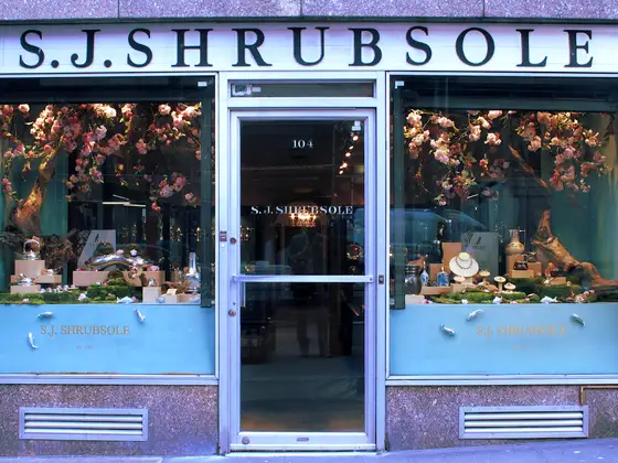 Shrubsole S J