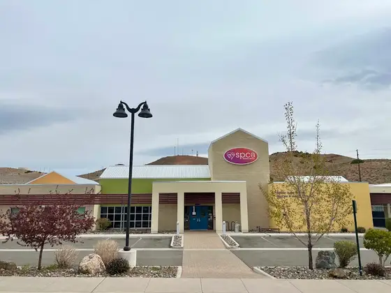 SPCA Northern Nevada