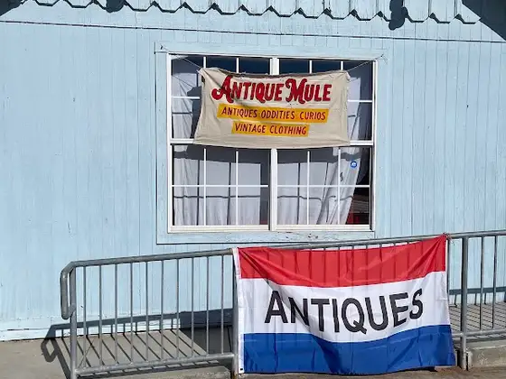The Antique Mule