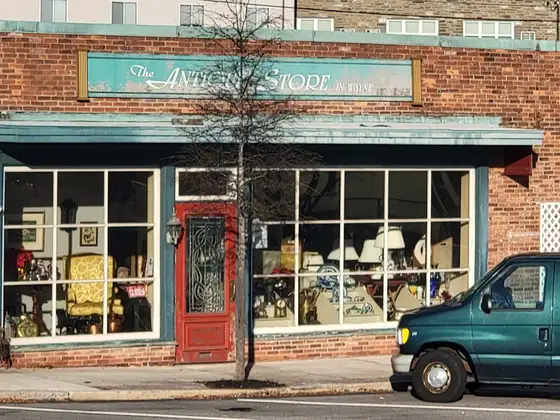 The Antique Store in Wayne