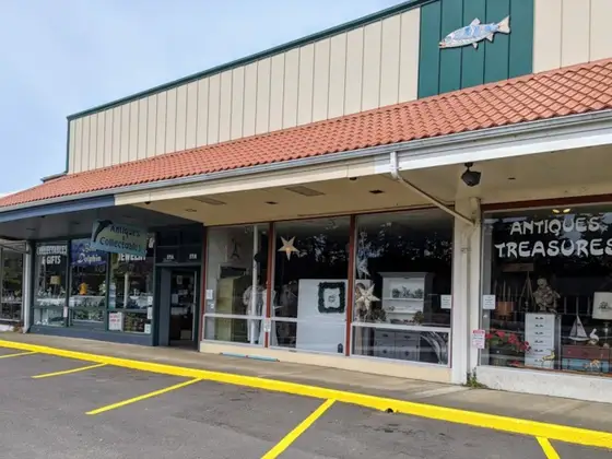 The Blue Dolphin