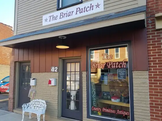 The Briar Patch
