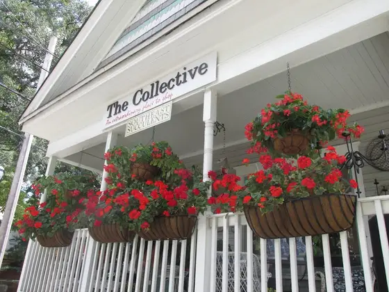 The Collective