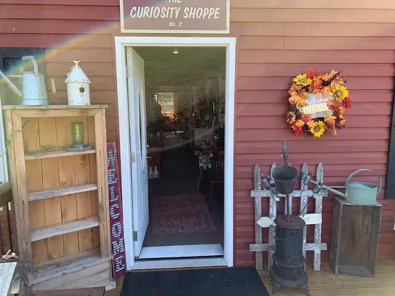 The Curiosity Shoppe