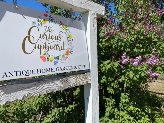 The Curious Cupboard