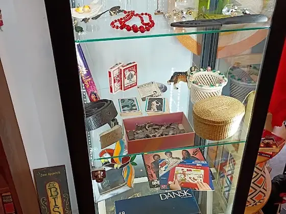 The Daily Find
