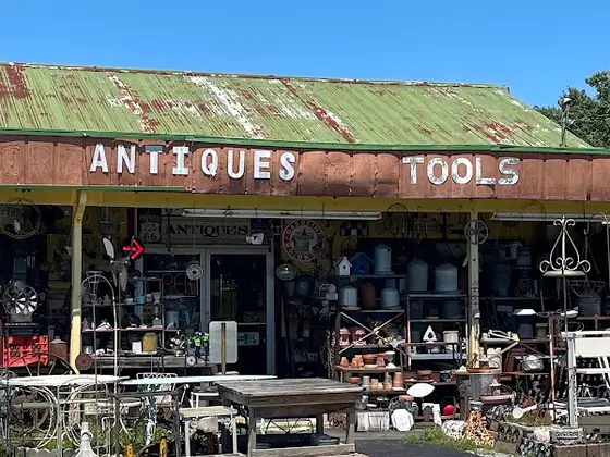 The Old Curiosity Shop in Crandall, GA