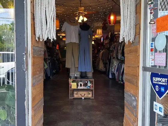 The Owl's Attic