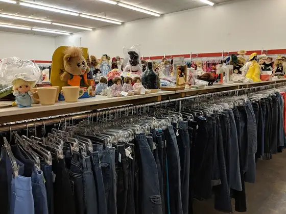 The Salvation Army