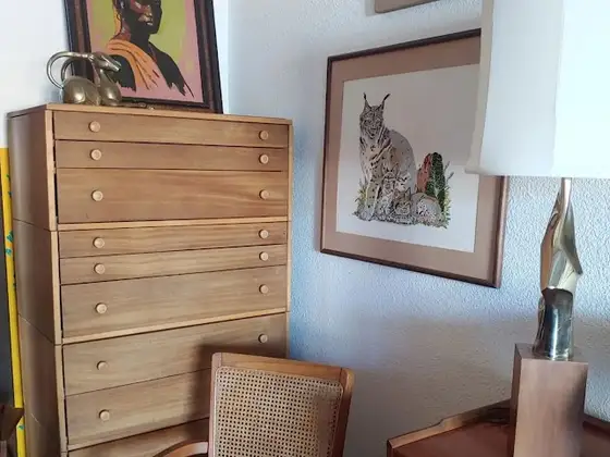 The Silver Fox Gallery Tempe