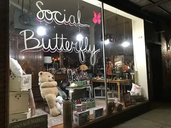 The Social Butterfly