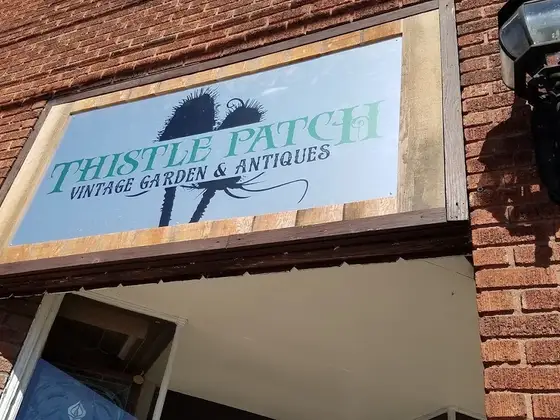 Thistle Patch