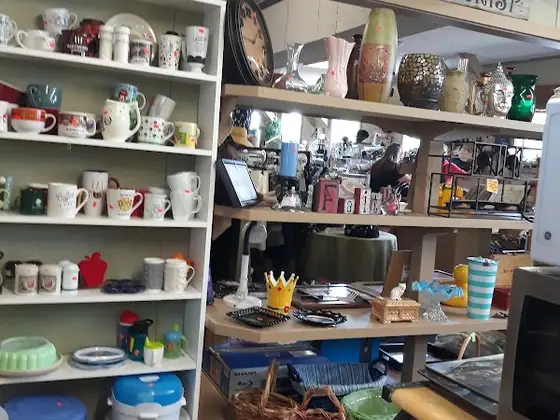 Thrift Store