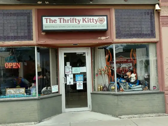 Thrifty Kitty