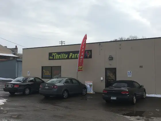 Thrifty Parrot